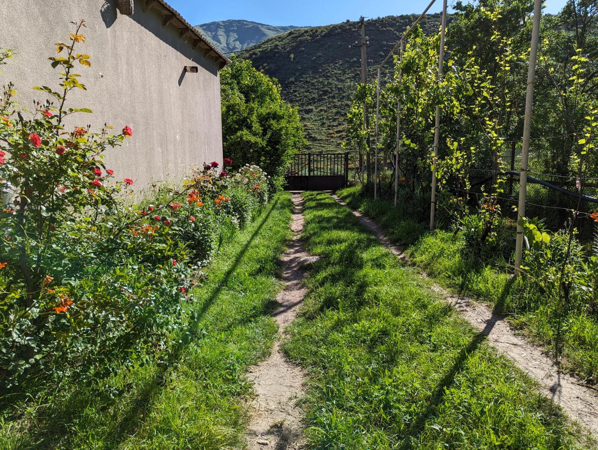 Bee House Hotel Pia Exterior foto