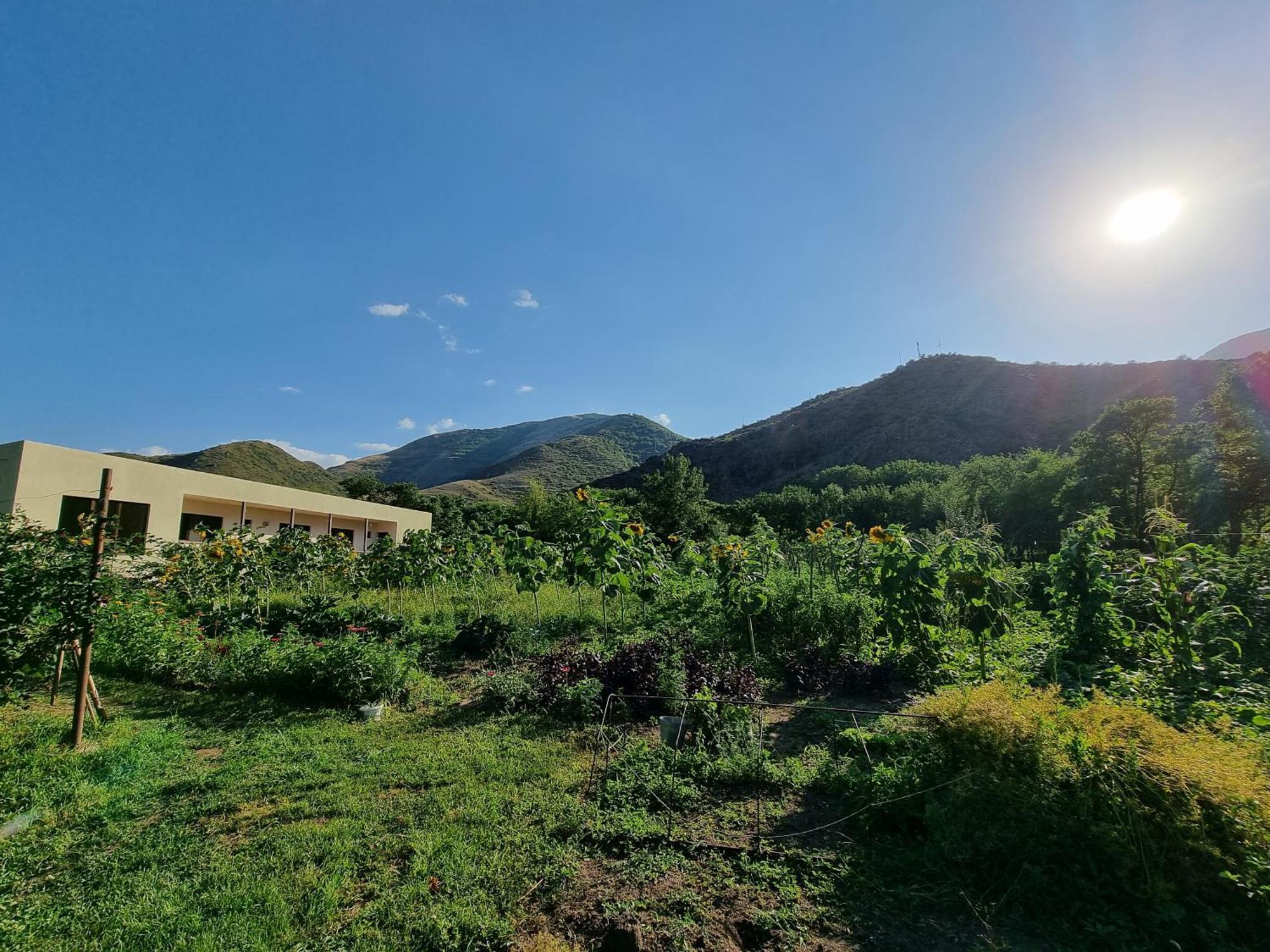Bee House Hotel Pia Exterior foto