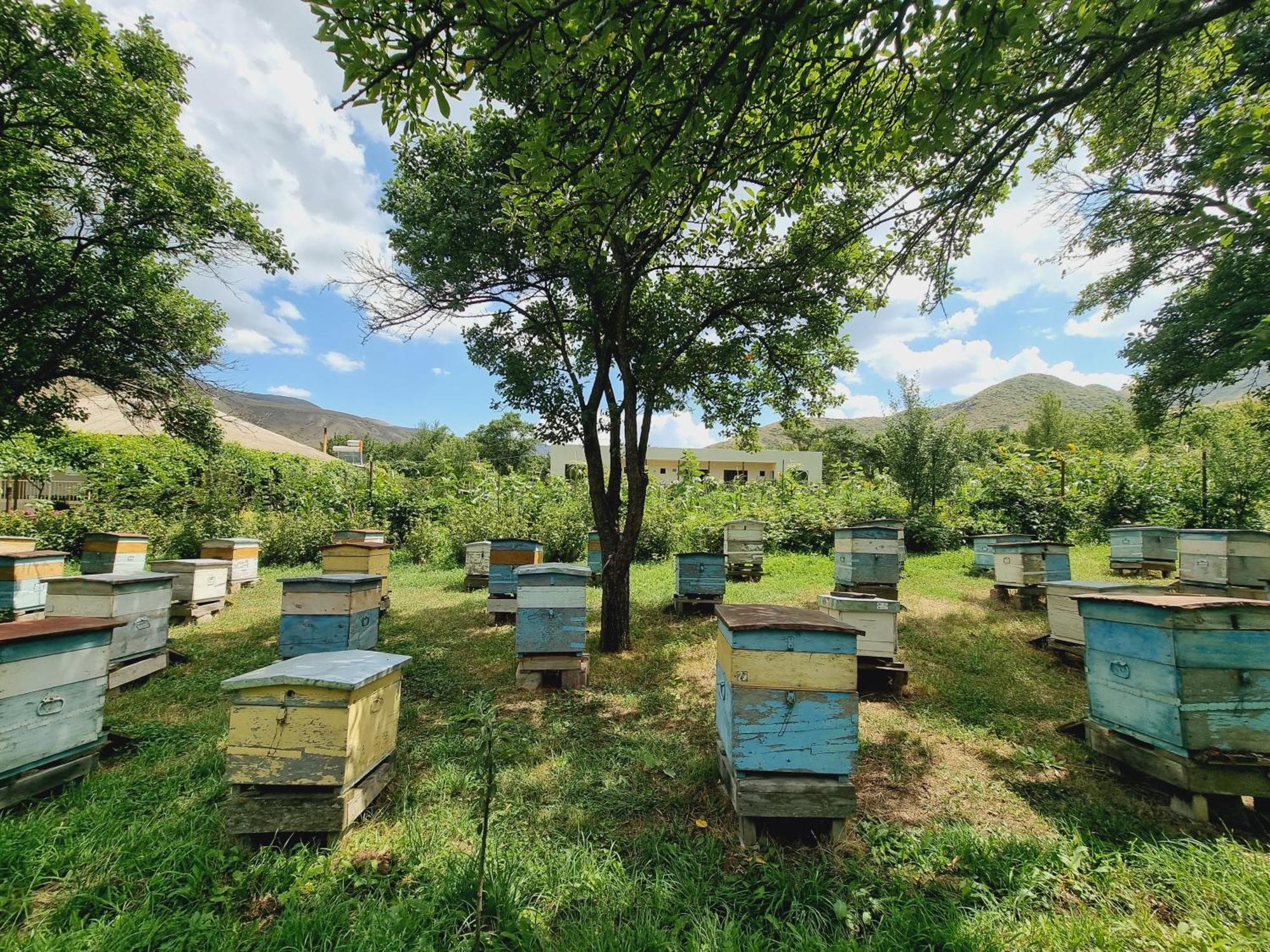 Bee House Hotel Pia Exterior foto